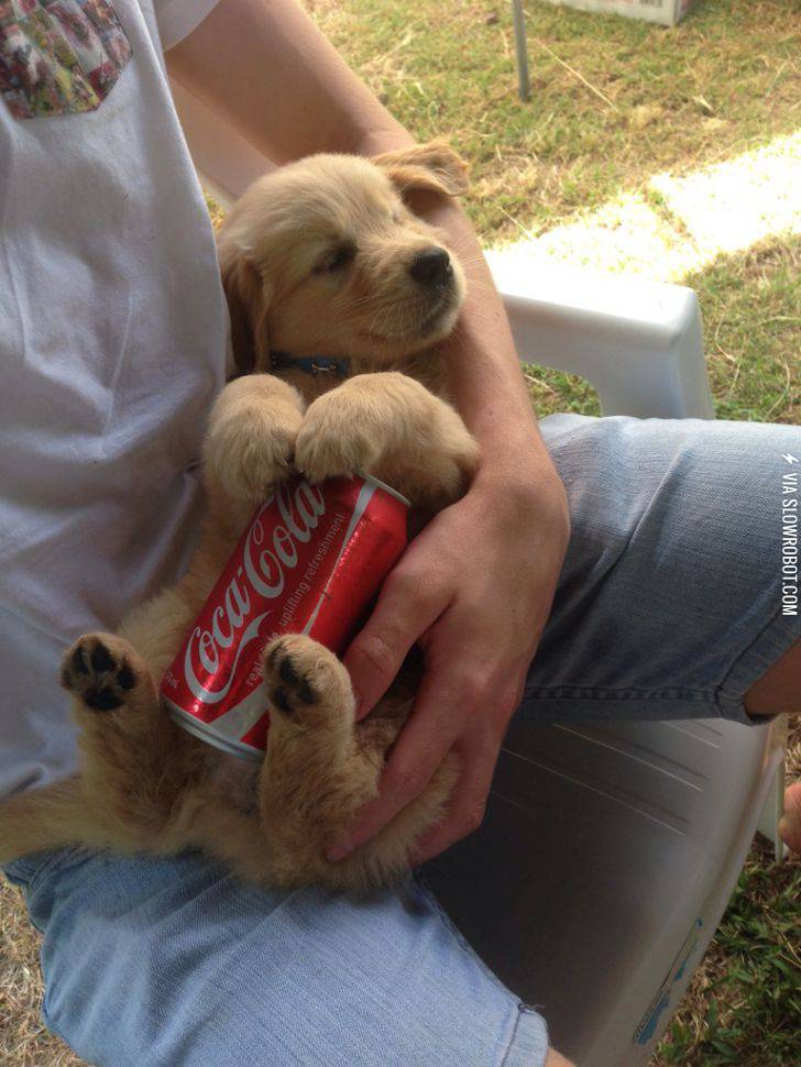 Best+way+to+keep+cool