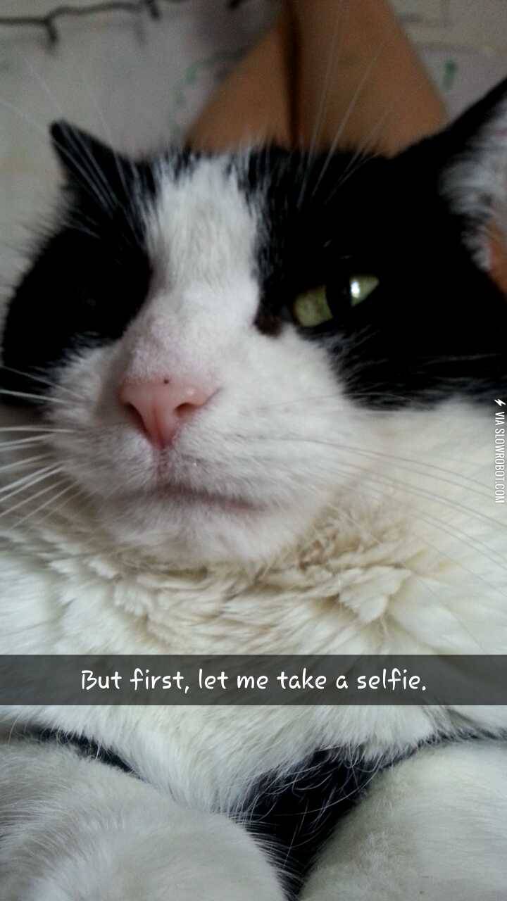 Searching+through+my+sister%26%238217%3Bs+phone%26%238230%3B