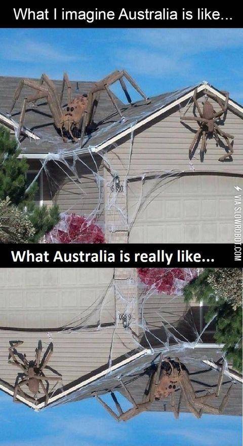 What+Australia+is+really+like