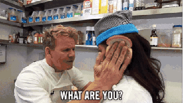 Gordon+Ramsay+is+my+spirit+animal