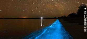 Beautiful+Bioluminescent+Bay+In+Puerto+Rico