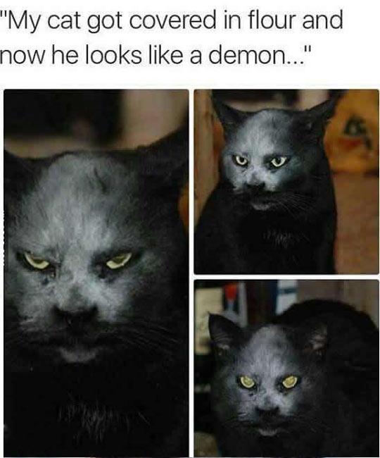 I+will+eat+your+soul.