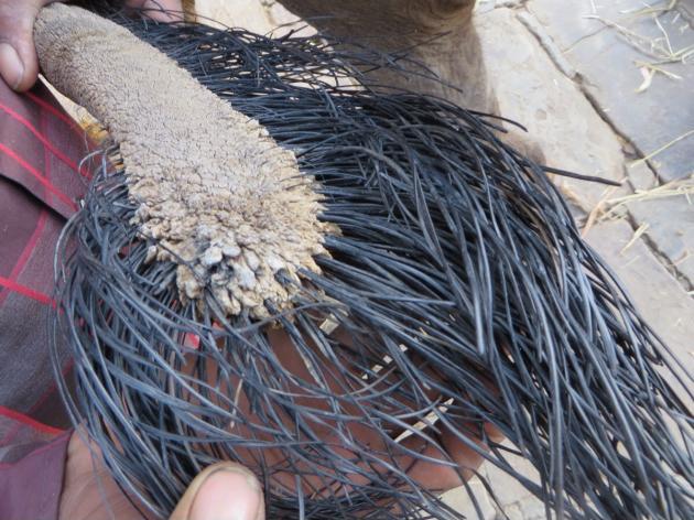 This+is+what+an+elephant%26%238217%3Bs+tail+looks+like+up+close