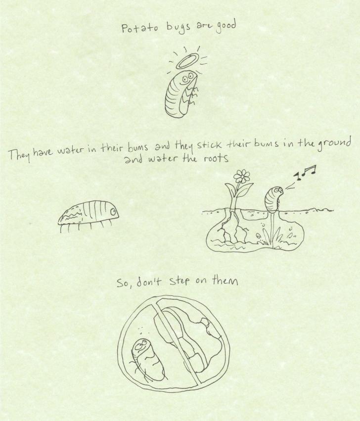 Something+you+probably+didn%26%238217%3Bt+know+about+potato+bugs.