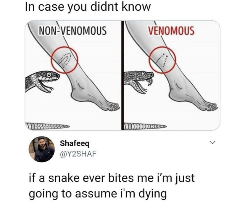 Default+to+death%2C+generally.