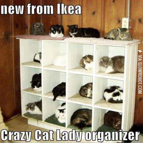 Organizing+cats%26%238230%3B+previously+thought+impossible.