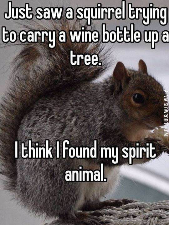 I+think+I+found+my+spirit+animal.