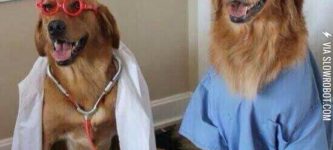 Why+dogs+make+terrible+doctors.