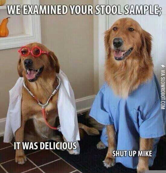 Why+dogs+make+terrible+doctors.