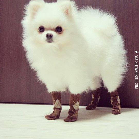 So+What%3F+My+Feet+Are+Warm