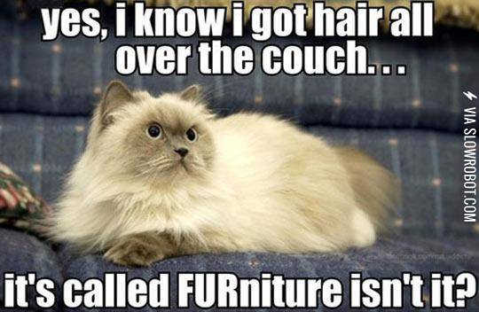 You+Don%26%238217%3Bt+Get+It%2C+Human