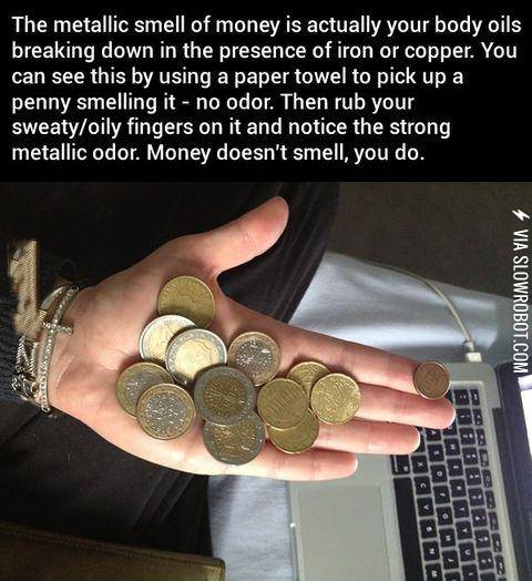 Coins+Don%26%23039%3Bt+Smell%2C+You+Do