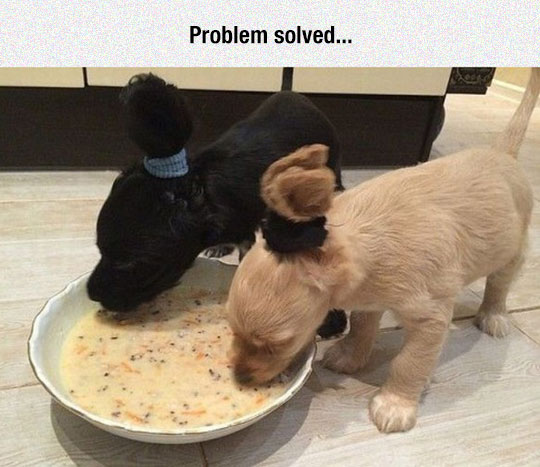 Problem+solved
