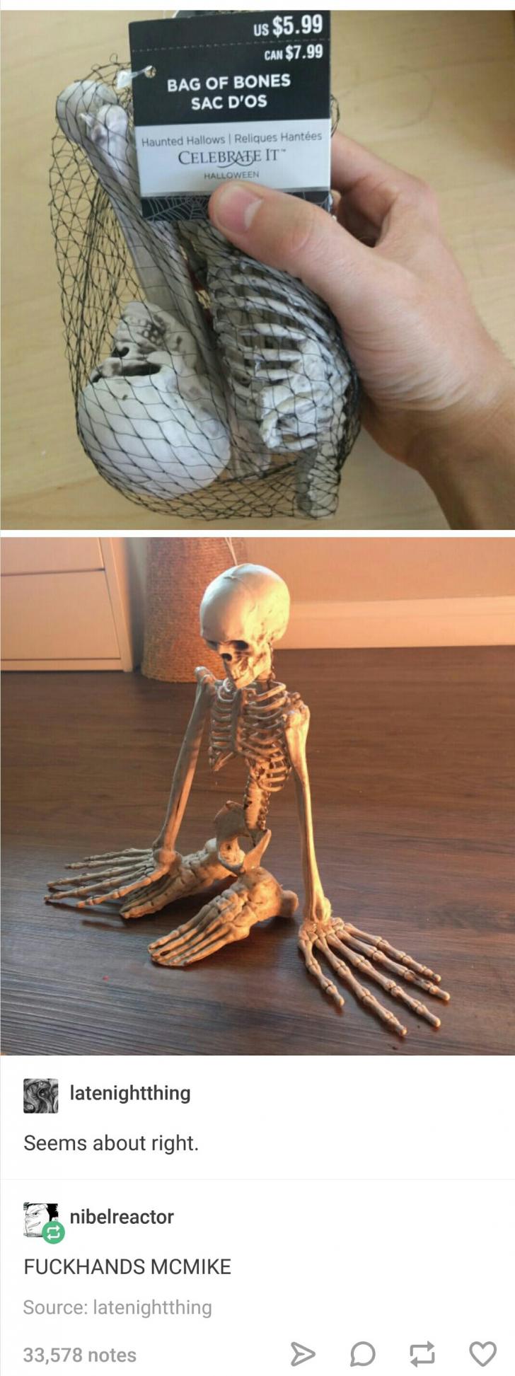 Bag+o%26%238217%3B+bones