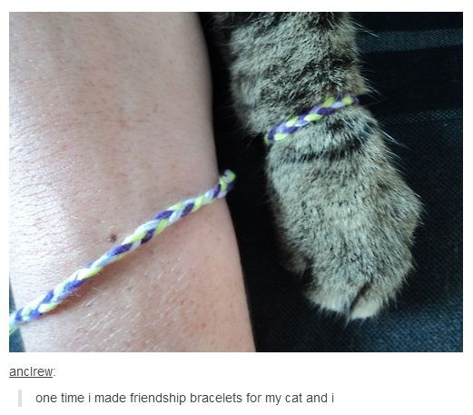 You+could+say+we%26%238217%3Bre+pretty+good+friends.