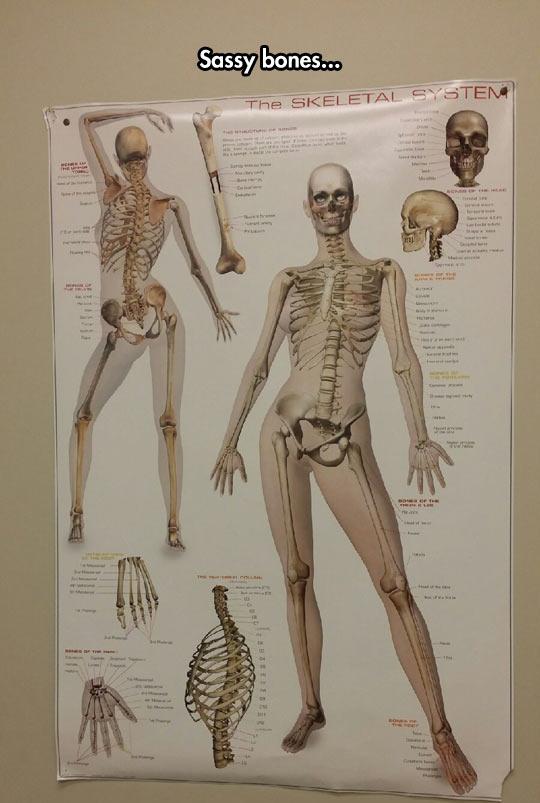 Sassy+bones