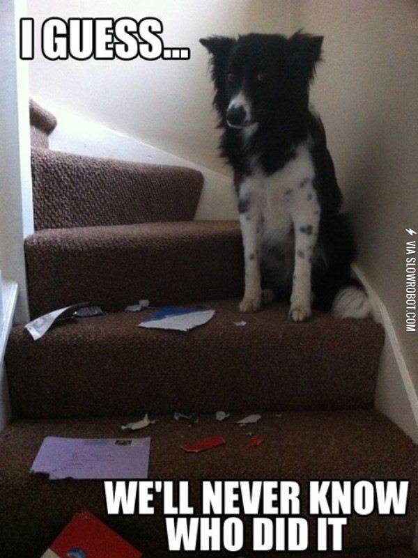 Act+normal%2C+they%26%238217%3Bll+never+suspect+you.