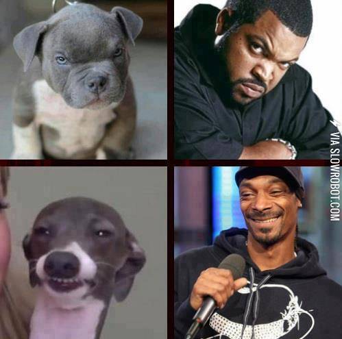 %26%238216%3BSup+dog%3F