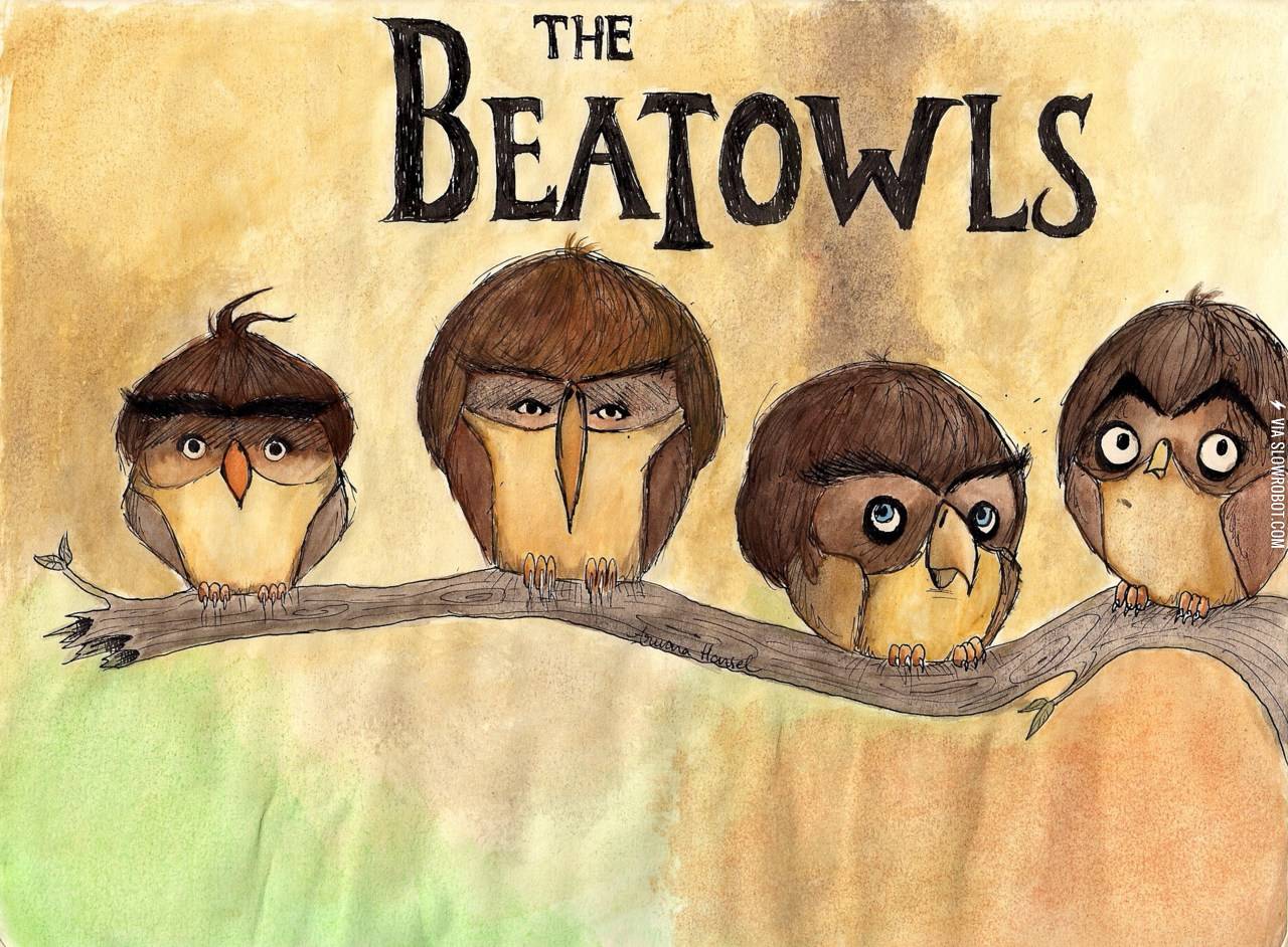 The+Beatowls.