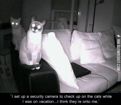 I+think+they%26%238217%3Bre+onto+me.