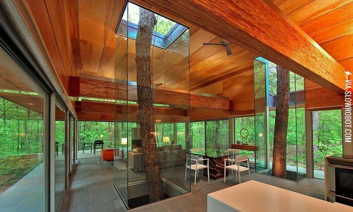 Building+Around+the+Trees