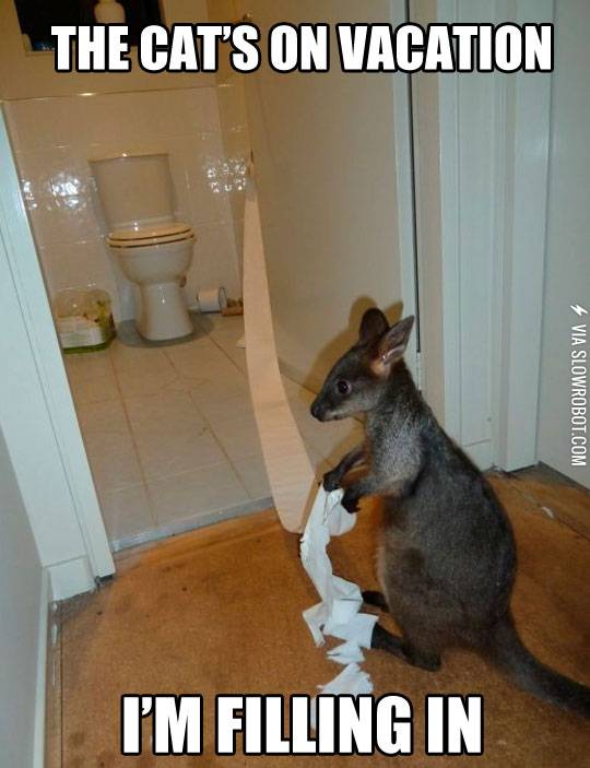 The+cat%26%238217%3Bs+on+vacation.