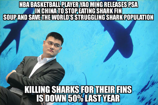 Yao+Ming+fighting+the+good+fight
