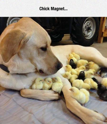 You+Either+Have+It+Or+You+Don%26%238217%3Bt