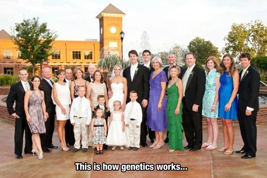 Genes+are+funny