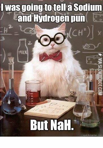 I+was+going+to+tell+a+Sodium+and+Hydrogen+pun%26%238230%3B