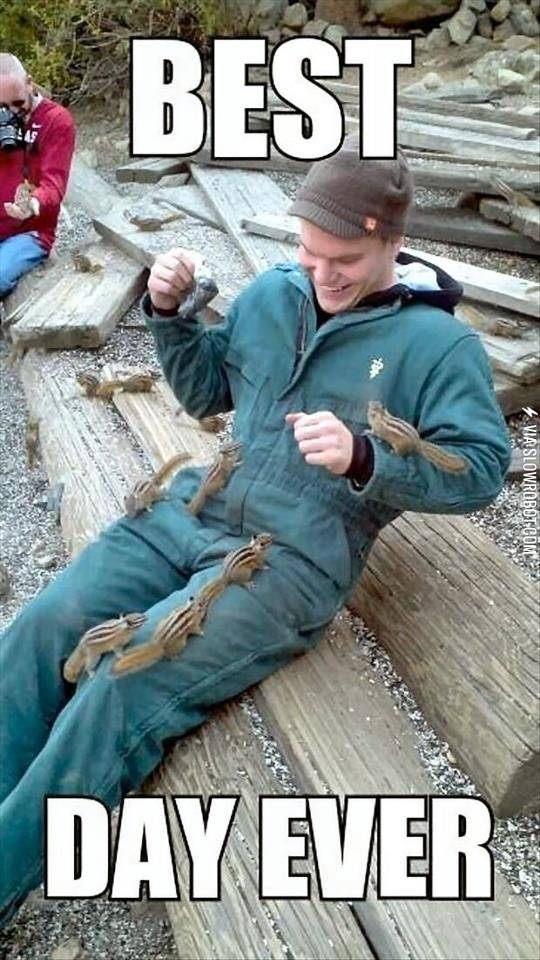 Attack+of+the+cute%21