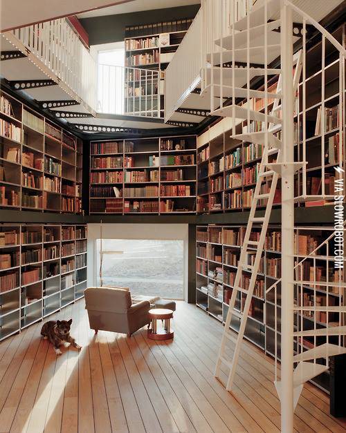 An+amazing+library.