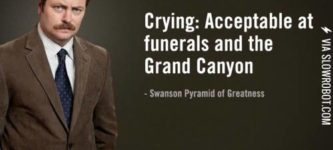 Swanson+on+emotions.