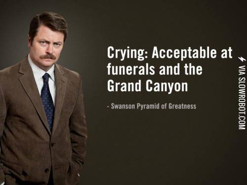 Swanson+on+emotions.