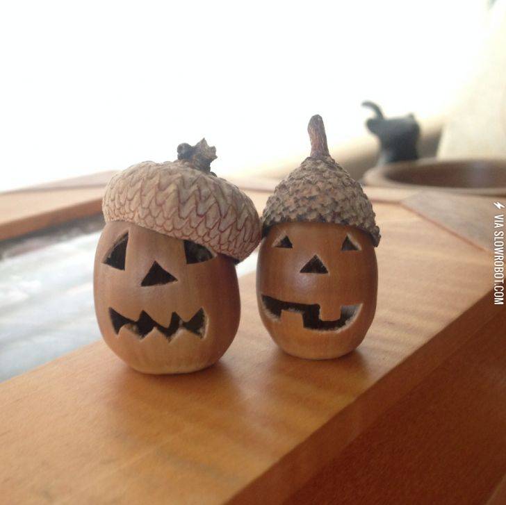 Acorn+jack-o-lanterns