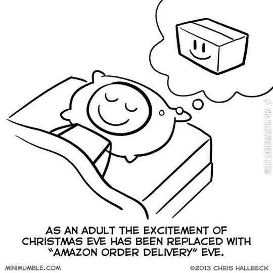 Amazon+order+delivery+eve.