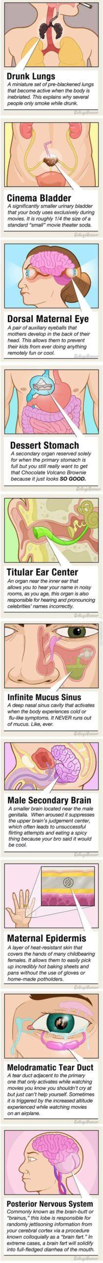 Secret+Body+Parts+You+Didn%26%238217%3Bt+Know+You+Had