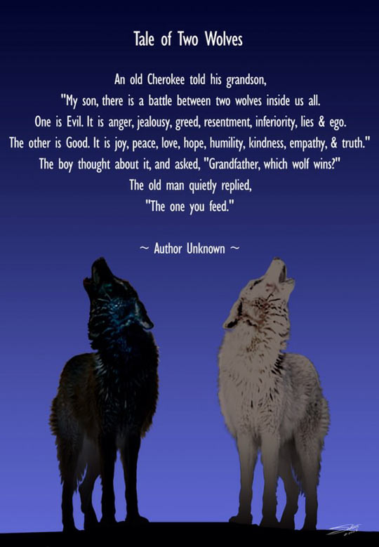 A+Tale+of+Two+Wolves