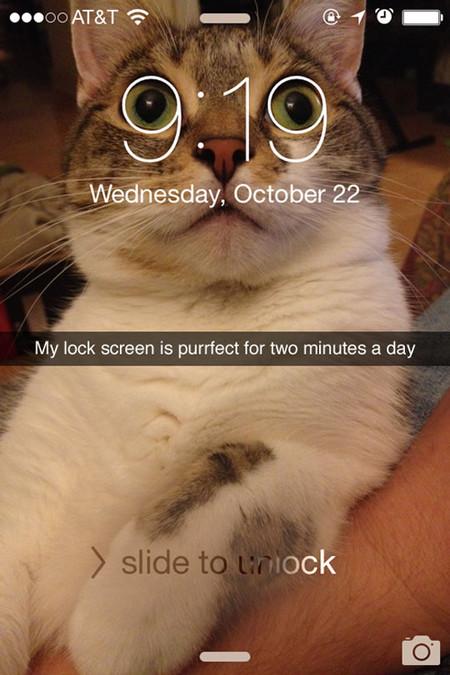 My+Lock+Screen+Is+Purrfect+For+Two+Minutes+A+Day
