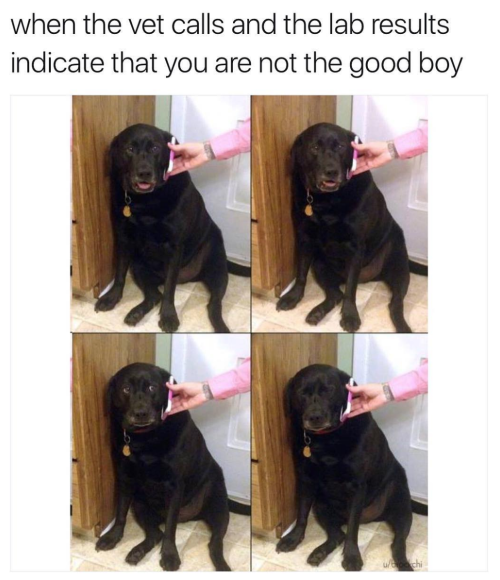 That%26%238217%3Bs+ruff.