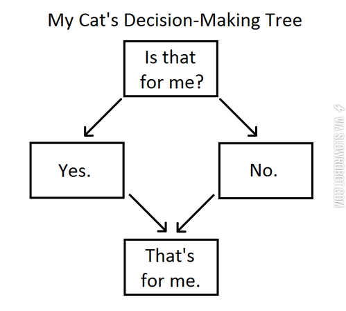 Cats+are+jerks%2C+a+flow+chart.