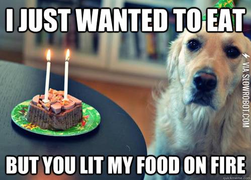 First+world+dog+problems.