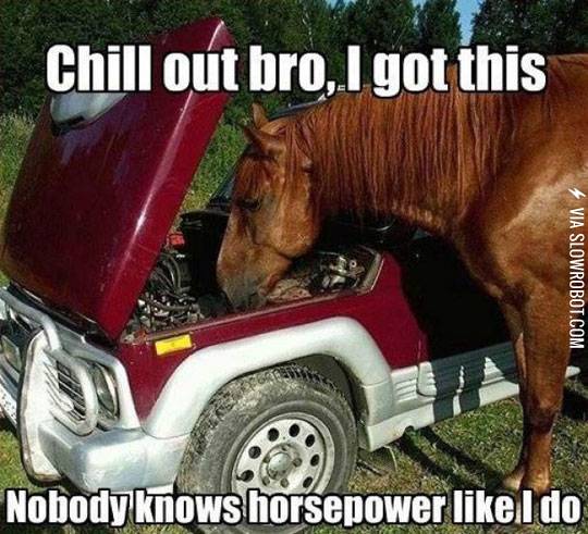 Nobody+knows+horsepower+like+I+do.