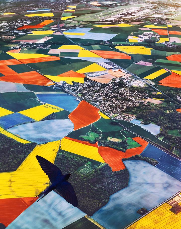 the+Netherlands+in+the+tulip+season