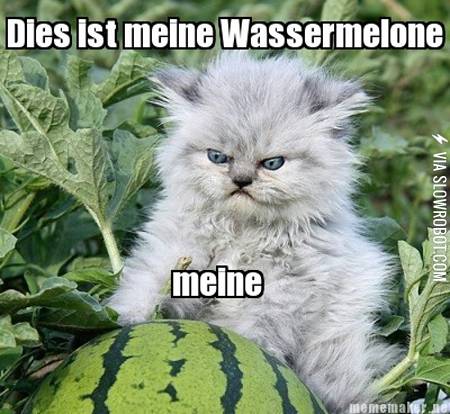 Meine+wassermelone%21