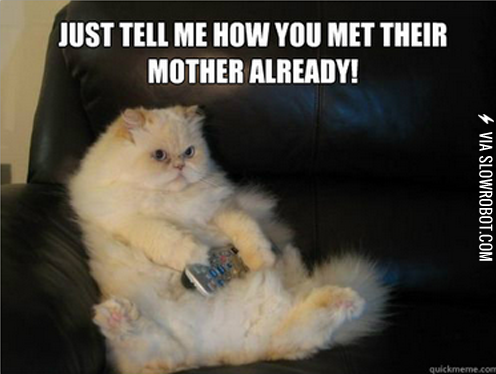 Impatient+cat+is+impatient.