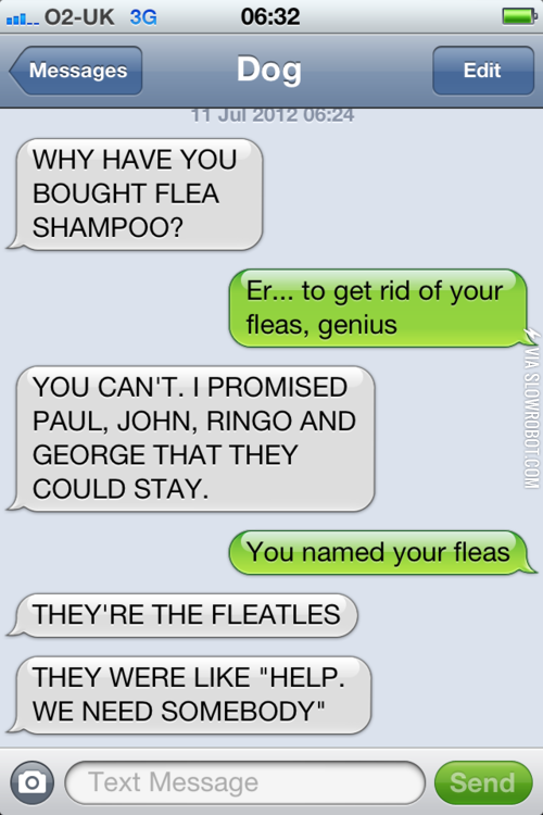 The+Fleatles.