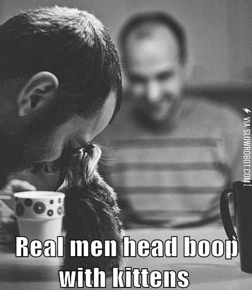 Real+men+head+boop+with+kittens.