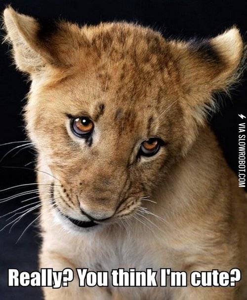 You+think+I%26%238217%3Bm+cute%3F