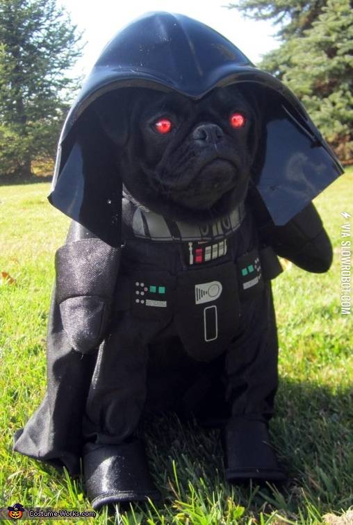 Bark+Vader.